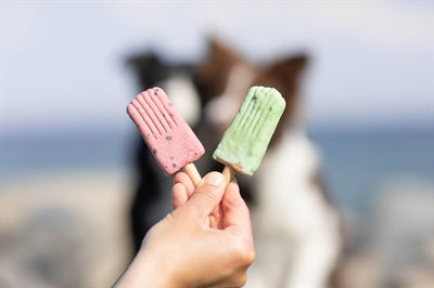 Trixie Ice Pop Grün