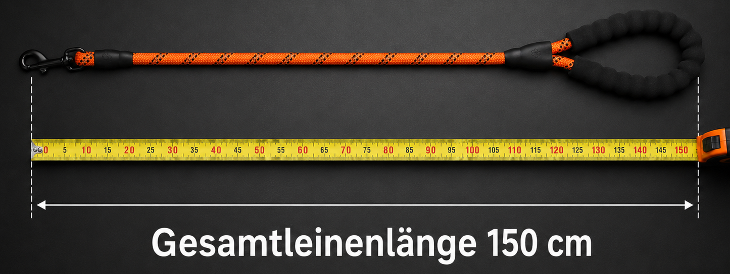 Nylon-Hundeleine für kleine bis große Hunde  mit gepolstertem Griff