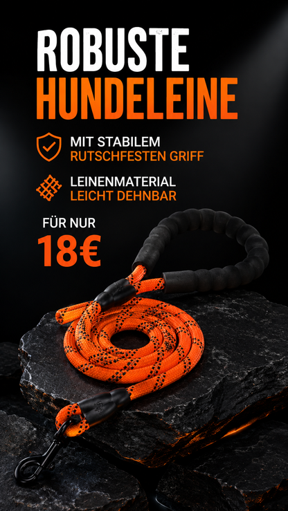 Nylon-Hundeleine für kleine bis große Hunde  mit gepolstertem Griff